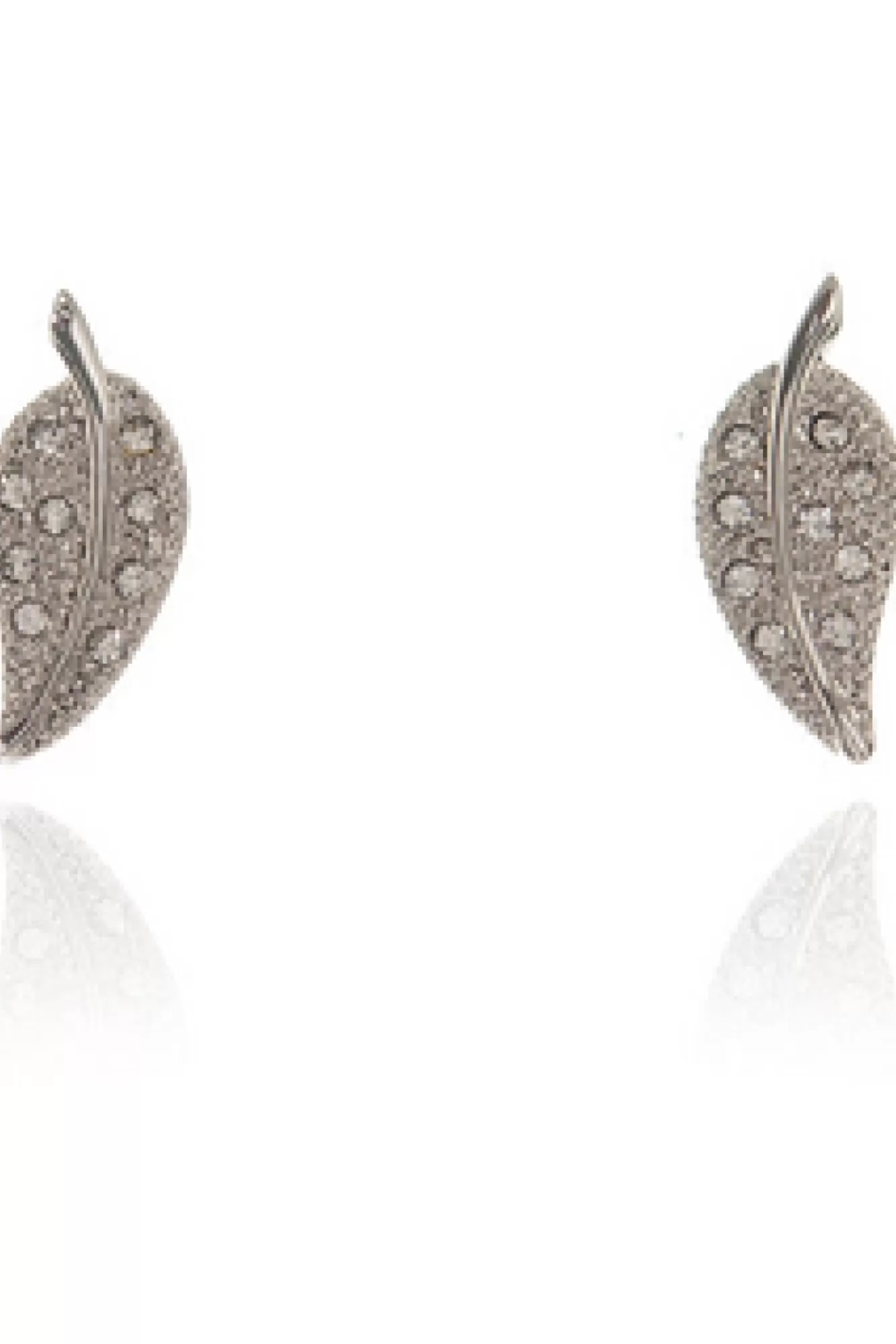 Jewellery^Cachet London Leafy Earrings Platinum Plated Silver